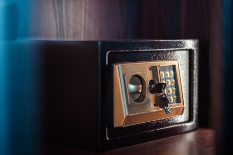 Encrypted password vault on a phone